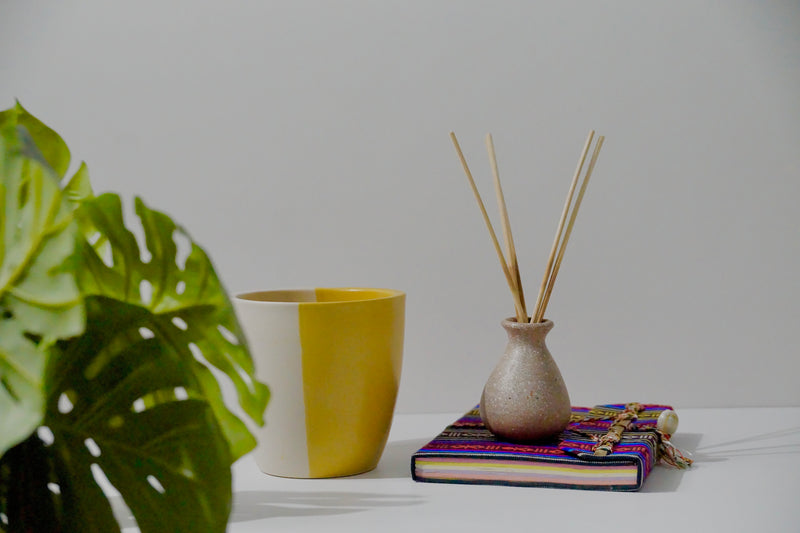 DAFFODIL PLANTER