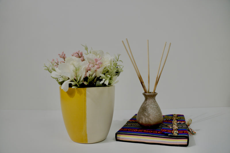 DAFFODIL PLANTER